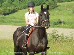 Fruzsival a kedvenc pacimmal! : Horse Photo