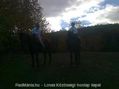 Eladó Miskolcon lovasoktatás - Eladó - Miskolc ( Borsod-Abaúj-Zemplén ) fotó
