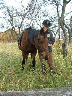 PaciMánia.hu lovas kép : Horse Photo