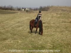 Tildával : Horse Photo