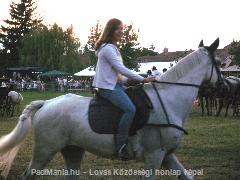:):) : Horse Photo