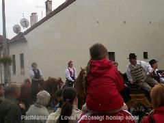Tokaj Szüreti : Horse Photo
