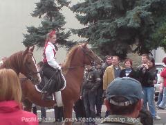 Tokaj Szüreti : Horse Photo