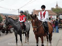 Szüreti Kondón:) : Horse Photo