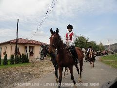 Szüreti Kondón:) : Horse Photo