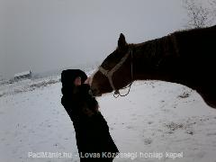 Tokaj paci látogatóban=)Szultán:) : Horse Photo