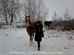 Tokaj paci látogatóban=)Szikra:) : Horse Photo