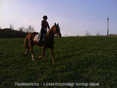 Kincsemmel =) : Horse Photo