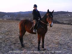 2011.03.11 Terepen Csillagommal :D : Horse Photo