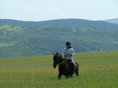 Horse social networking website of people liking horses maniacally